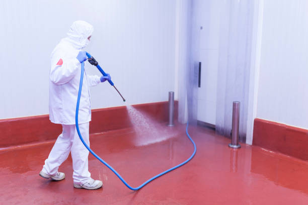 Best Spring Cleaning  in Stickney, IL